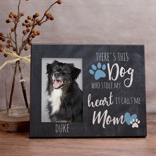 Personalized Picture Frame This Dog Stole my Heart
