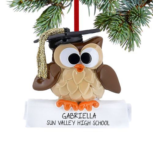 Personalized Owl Graduate Christmas Ornament