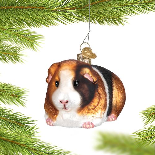 Personalized Pet Guinea Pig Christmas Ornament
