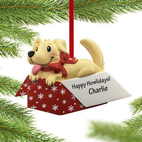 Personalized New Dog In Gift Box Christmas Ornament