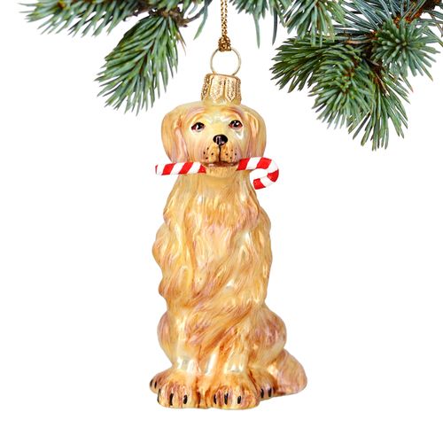 Golden Retriever with Candy Cane Christmas Ornament