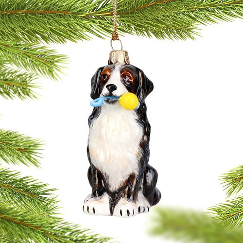 Bernese Mountain Dog with Chew Toy Christmas Ornament